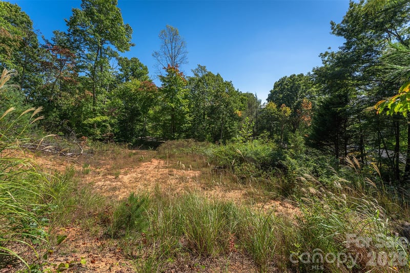 21 W Keesler St, Black Mountain, NC 28711