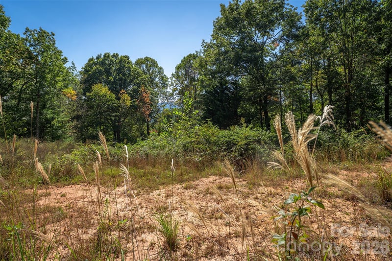 21 W Keesler St, Black Mountain, NC 28711
