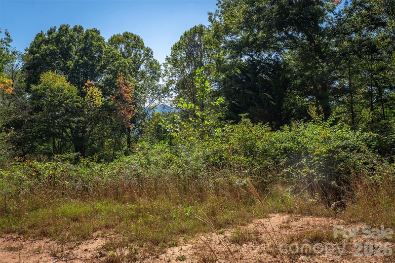21 W Keesler St, Black Mountain, NC 28711