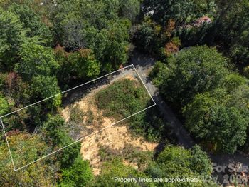 21 W Keesler St, Black Mountain, NC 28711