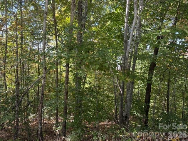 50 Scenic Wolf Ridge Rd, Mars Hill, NC 28754