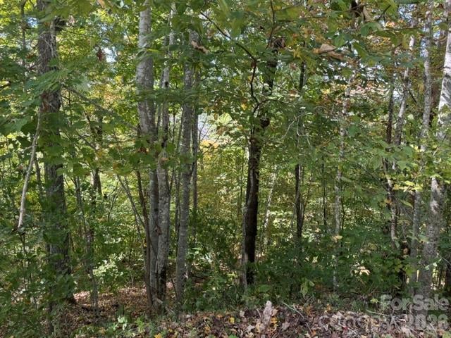 50 Scenic Wolf Ridge Rd, Mars Hill, NC 28754