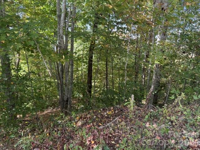 50 Scenic Wolf Ridge Rd, Mars Hill, NC 28754