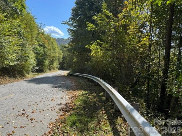 50 Scenic Wolf Ridge Rd, Mars Hill, NC 28754