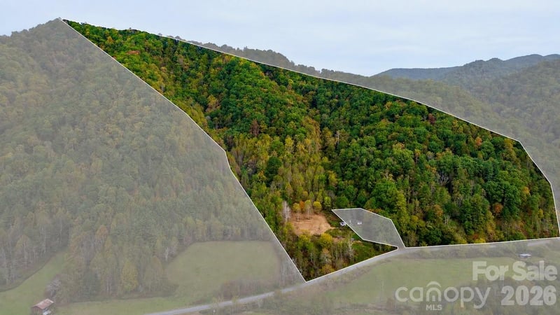 1045 Foster Creek Rd, Marshall, NC 28753