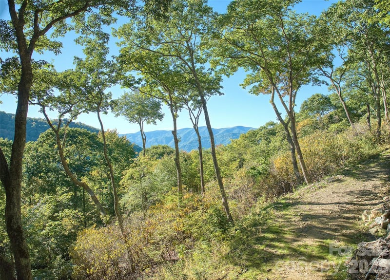 270 Olli Trl, Maggie Valley, NC 28751