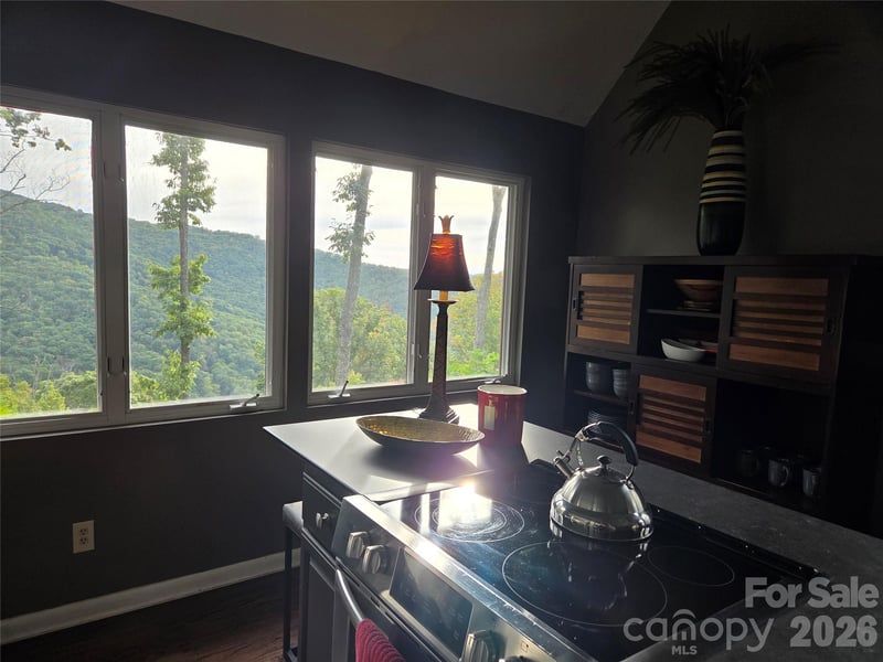 98 Maple Forest Rd, Fairview, NC 28730