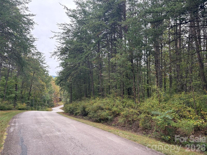 lot 19 Silent Forest Way, Lake Lure, NC 28746