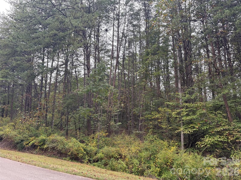 lot 19 Silent Forest Way, Lake Lure, NC 28746