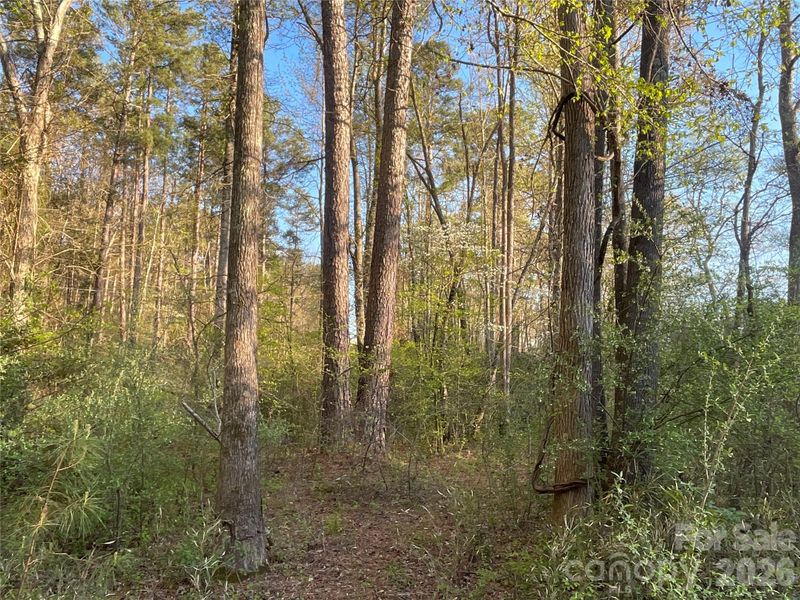 161 Little River Trl #1, Indian Land, SC 29707