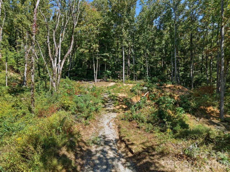 6 Pioneer Ln, Hendersonville, NC 28792