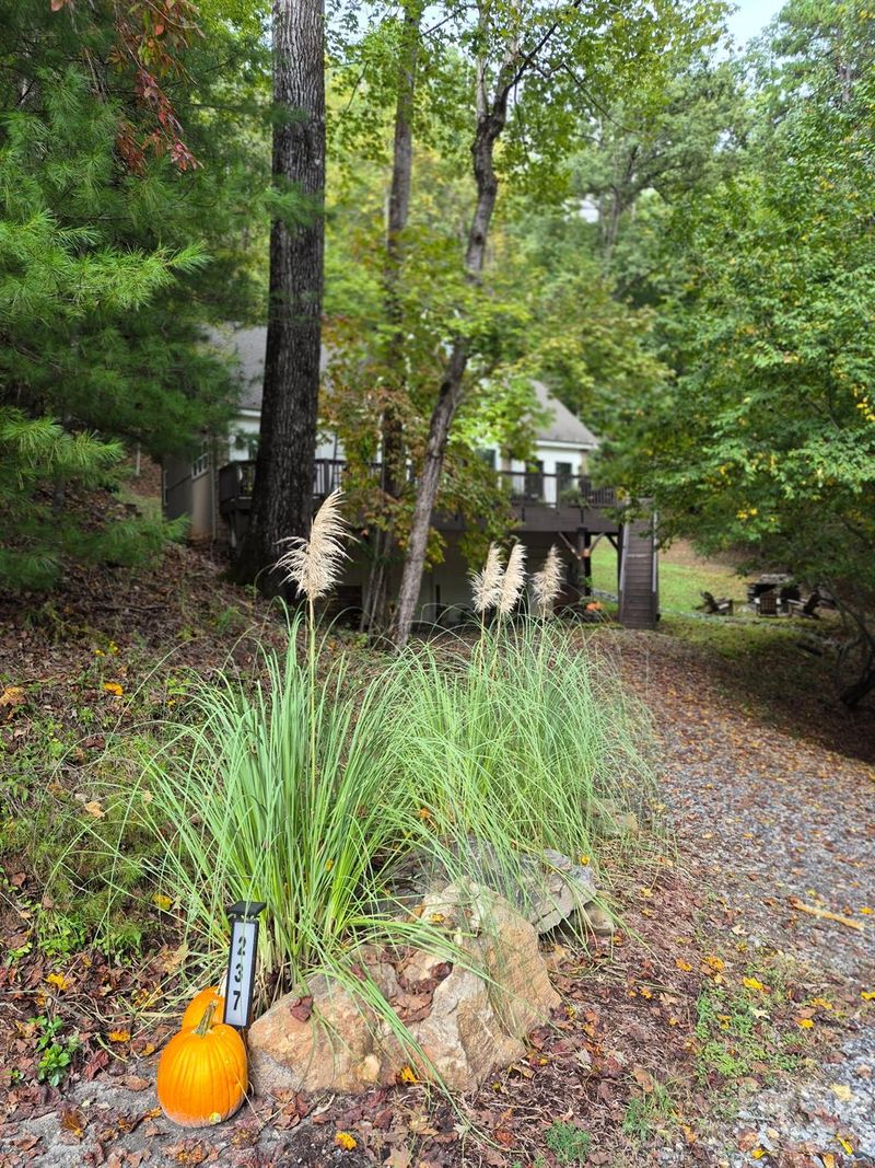237 Mallard Rd, Lake Lure, NC 28746