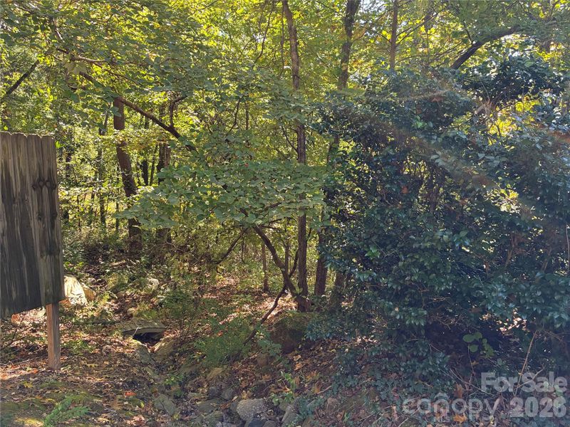 99999 Cliffview Dr, Asheville, NC 28803