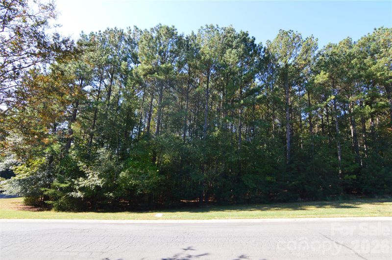 4001 Deer Park Ln #271-A, Belmont, NC 28012
