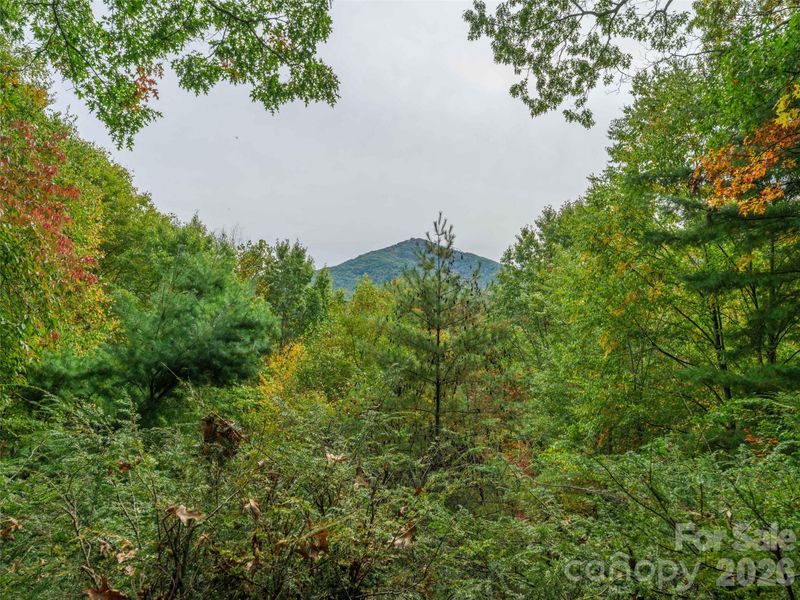 250 Creekside Dr, Maggie Valley, NC 28751