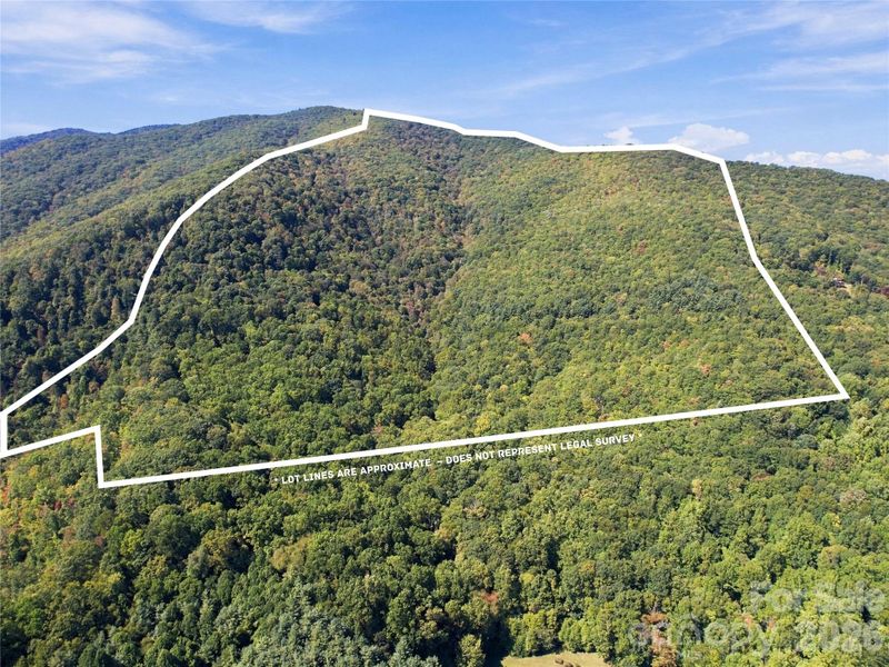 00 Orion Davis Rd, Waynesville, NC 28786