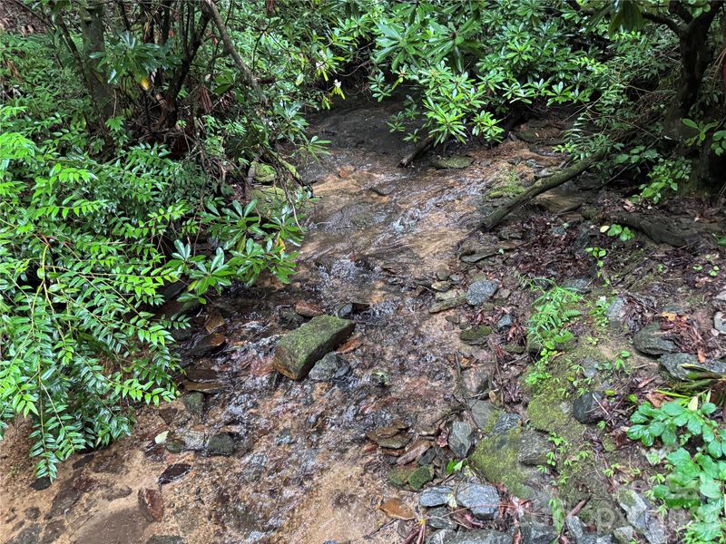 280 Laurel Creek, Cedar Mountain, NC 28718