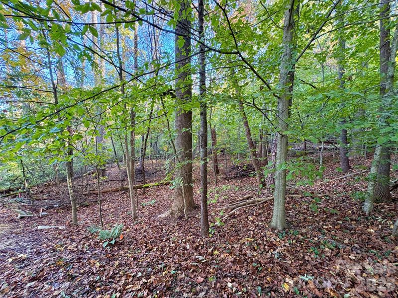 00 Forsythia Hedge Dr, Fletcher, NC 28732
