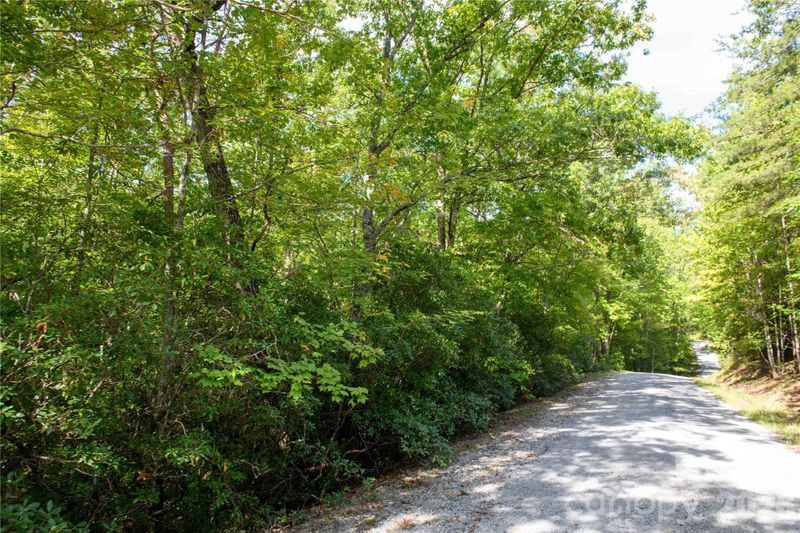 0 Bobcat Way, Lake Lure, NC 28746