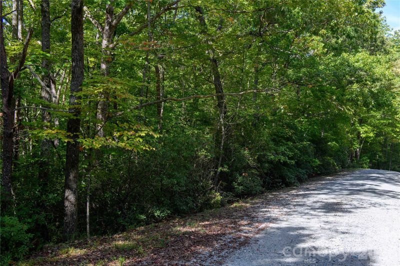 0 Bobcat Way, Lake Lure, NC 28746