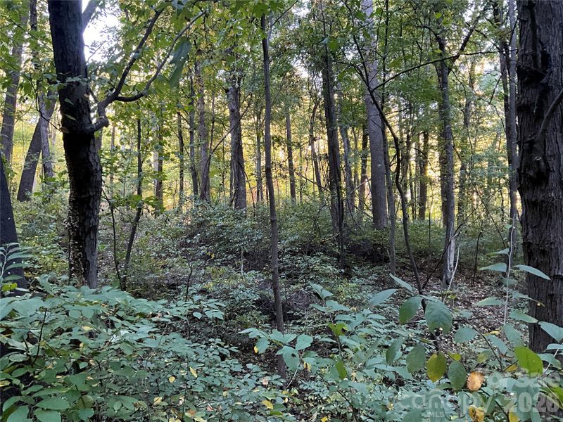 Lot 332333 Bolt Rd, Lake Lure, NC 28746