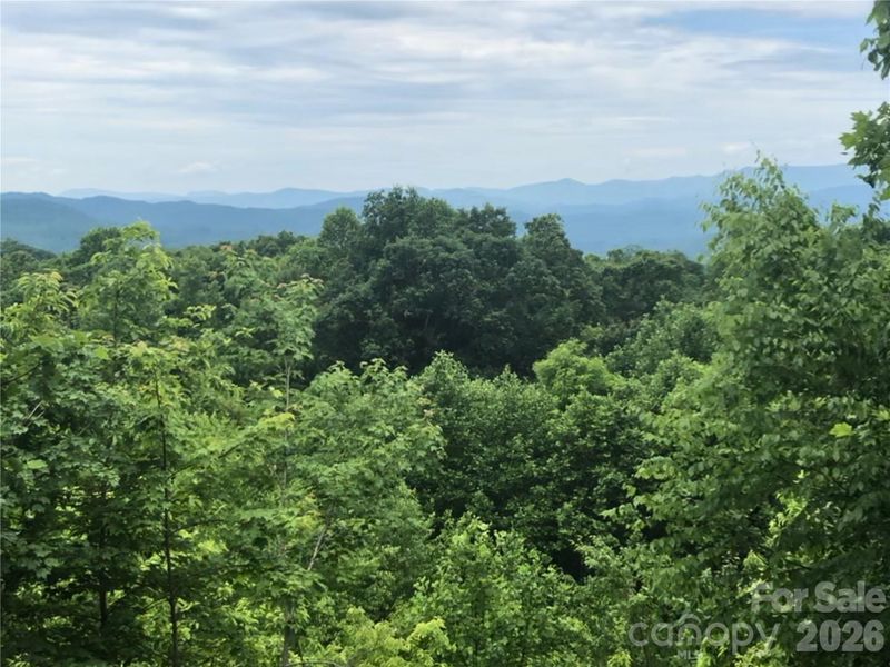 370 Somersby Pw, Laurel Park, NC 28739