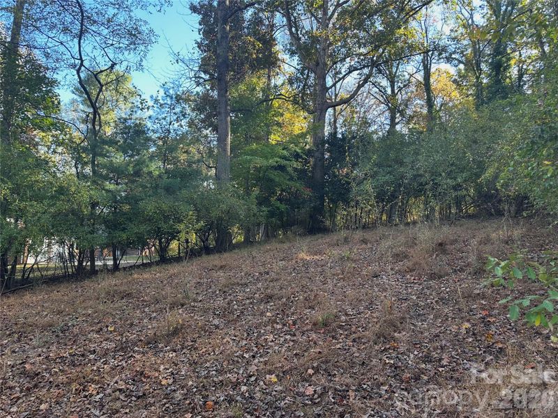 68 Cranesway Dr, Asheville, NC 28806