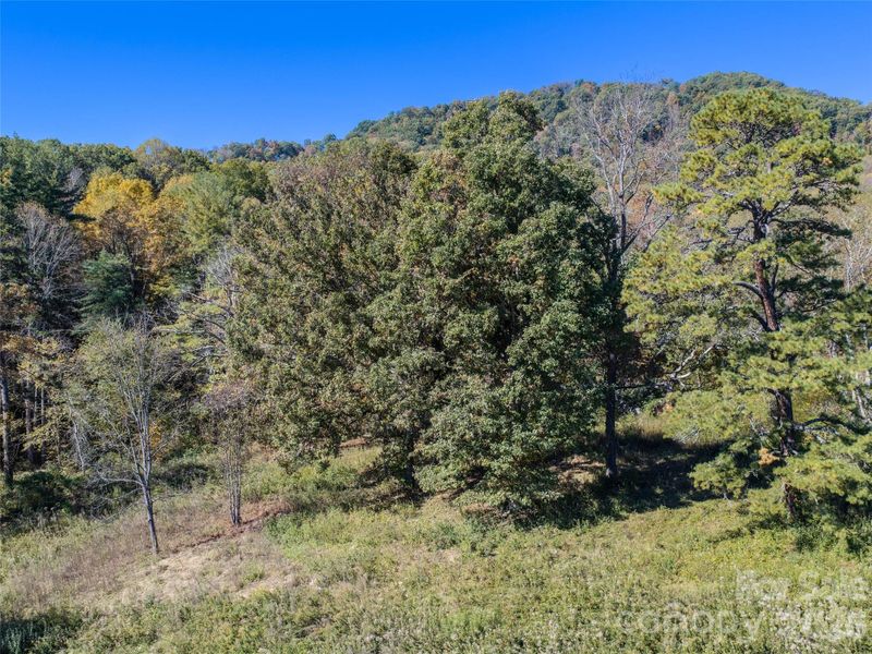 717 Brady Cir, Canton, NC 28716