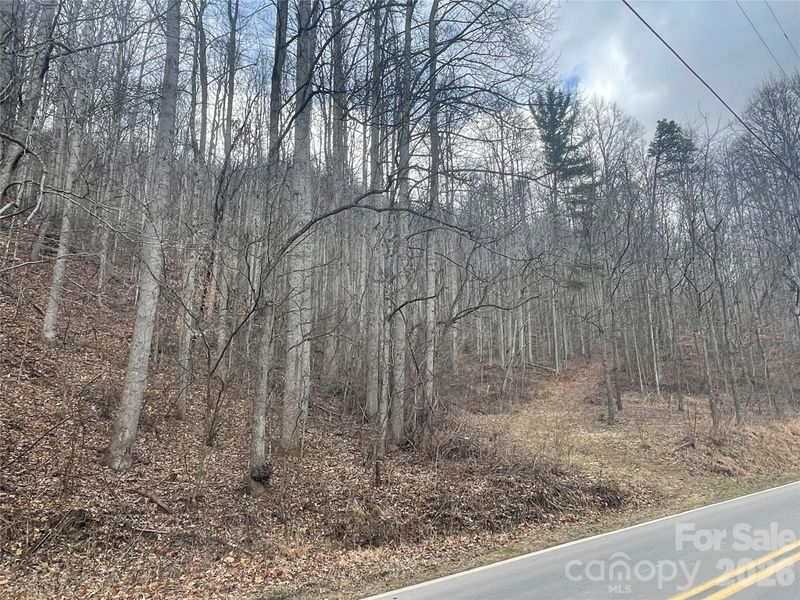 999999 Martins Creek Rd, Barnardsville, NC 28709