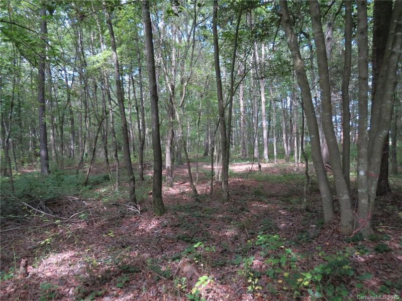 Tract 2 Carroll Ave, York, SC 29745