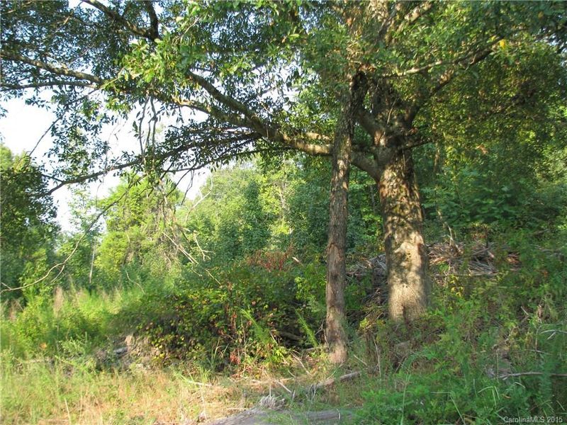 29 Ac Woods Ferry Rd, Chester, SC 29706