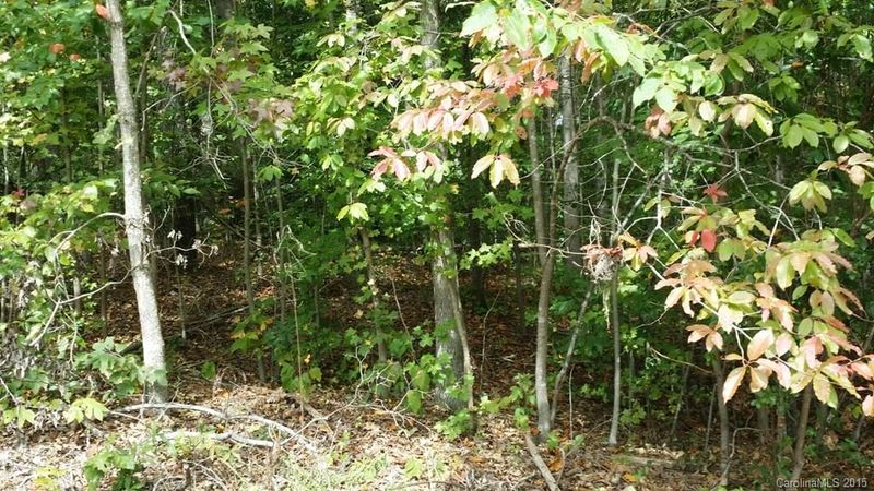 0 Tennessee Trl #200, Lincolnton, NC 28092