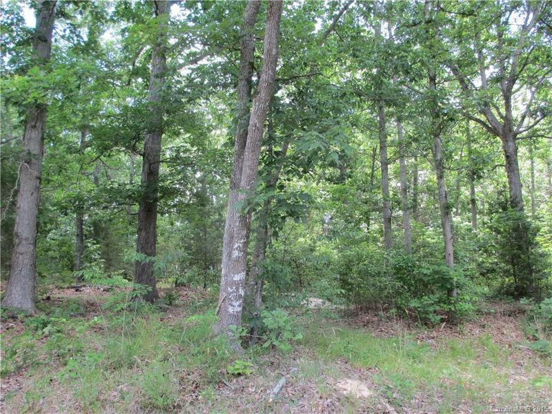1.128 AC Ellison Cir, Lancaster, SC 29720