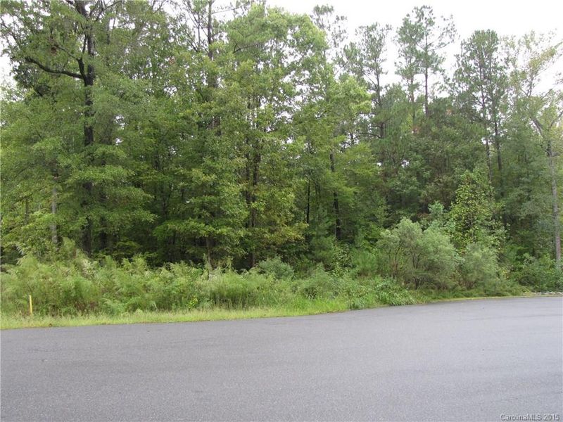 2010 Sugar Pond Ct, Fort Mill, SC 29715