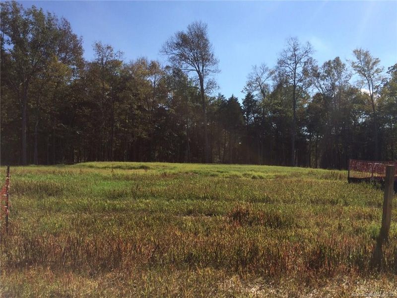 217 Walkers Bluff Ct #27, Marvin, NC 28173