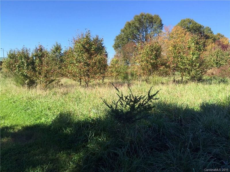 0.51 Startown Rd #2, Lincolnton, NC 28092
