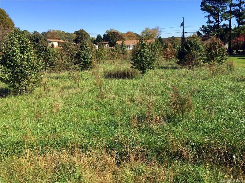 0.51 Startown Rd #2, Lincolnton, NC 28092