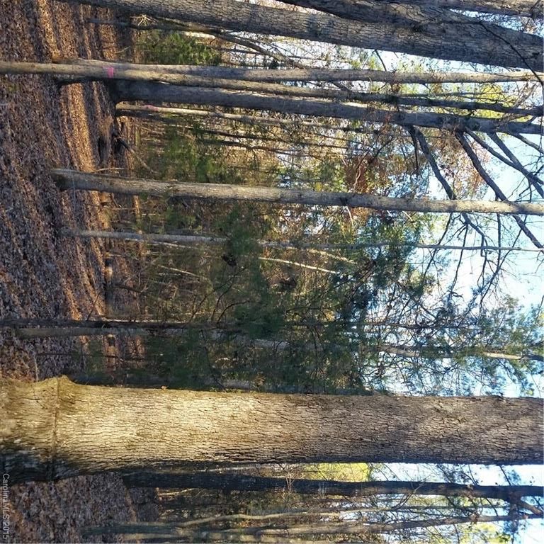 0 Wycoff Rd, Sharon, SC 29742