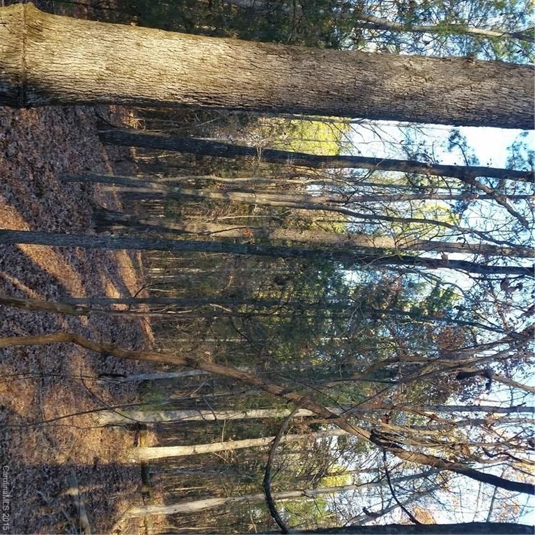 0 Wycoff Rd, Sharon, SC 29742