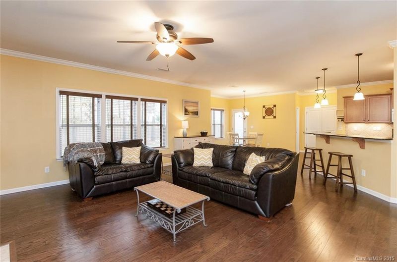 12435 Pine Terrace Ct, Charlotte, NC 28273
