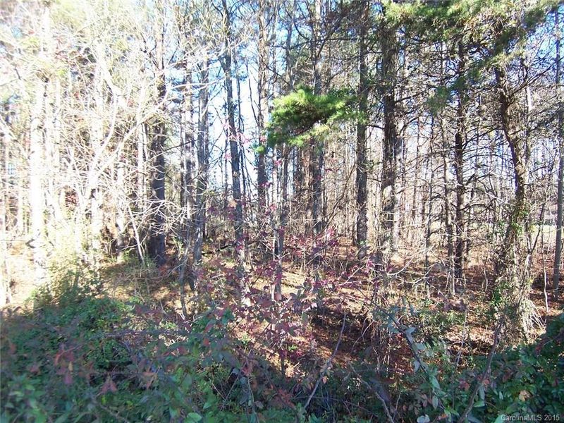 0 Old Coach Ln, Cherryville, NC 28021