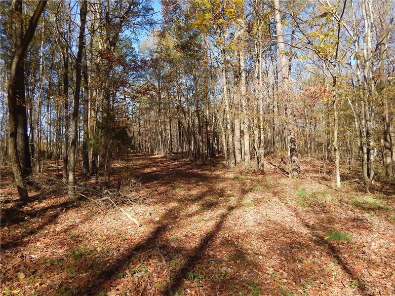 00 Nesbit Rd, Monroe, NC 28112