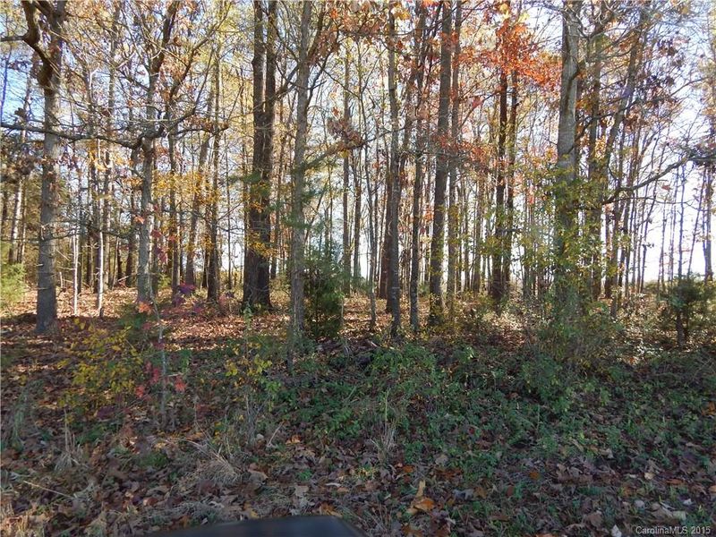 00 Nesbit Rd, Monroe, NC 28112