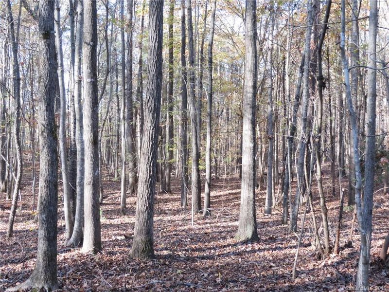 1248 Daniel Rd, York, SC 29745
