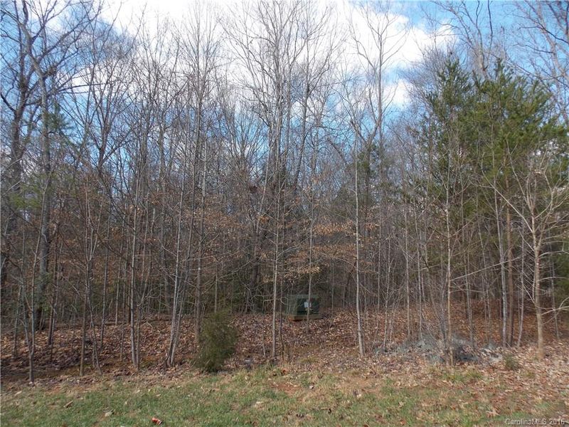 0 Wolf Rd, Iron Station, NC 28080