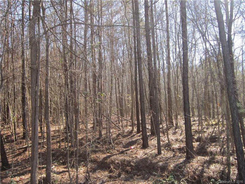 1182 Princeton Rd, Rock Hill, SC 29730