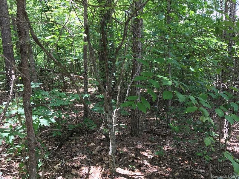 1511 Marshbrooke Ln, Catawba, NC 28609