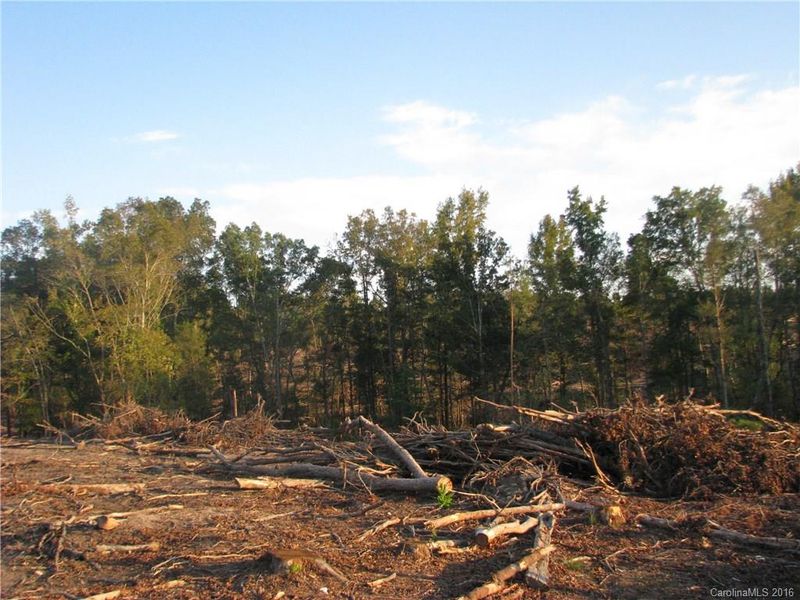 18 Ac George Beard Ave, Great Falls, SC 29055
