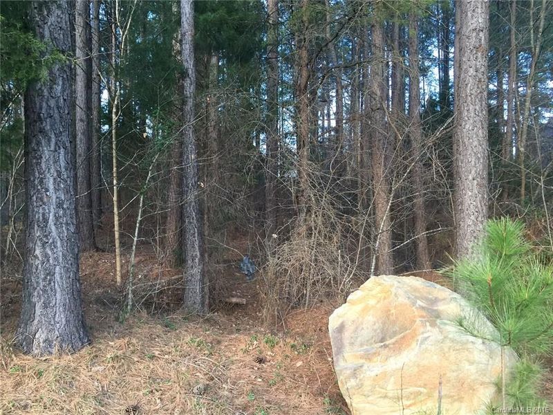 0 Mt Carmel Cir #61, Denver, NC 28037