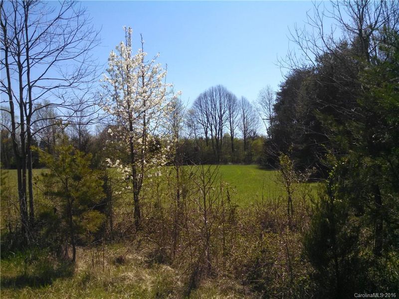 2783 Bud Arndt Rd, Maiden, NC 28650